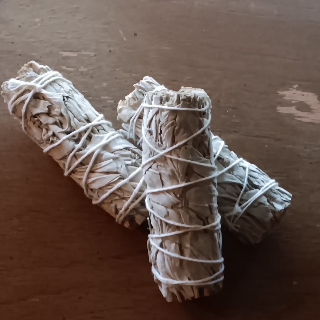 Ethically Sourced & Sustainable California White Sage Smudge Sticks